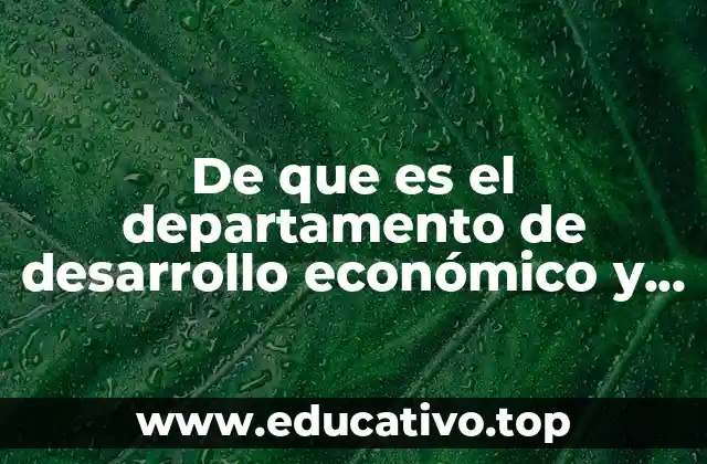 De que es el departamento de desarrollo económico y social