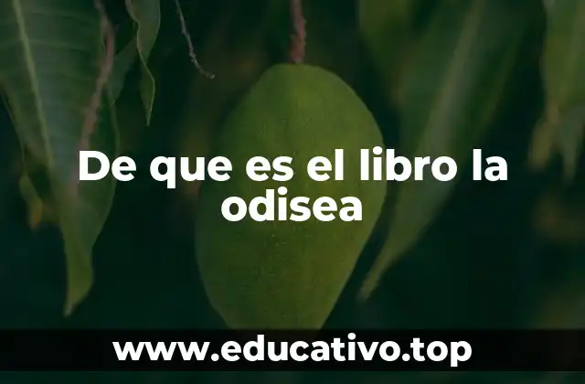 De que es el libro la odisea