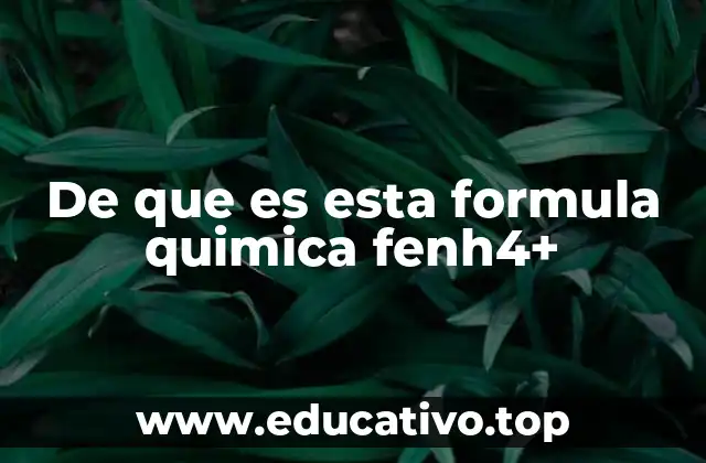 De que es esta formula quimica fenh4+