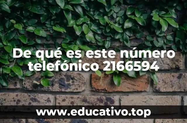 De qué es este número telefónico 2166594