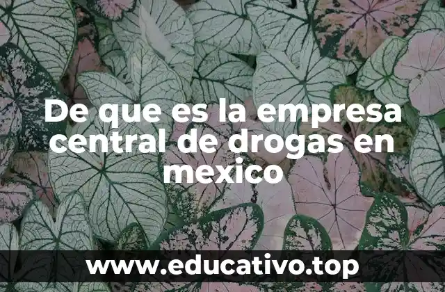 De que es la empresa central de drogas en mexico