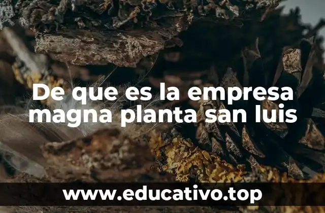 De que es la empresa magna planta san luis