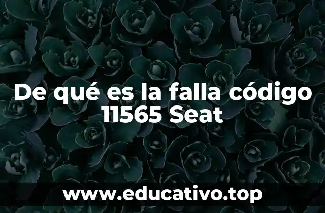 De qué es la falla código 11565 Seat