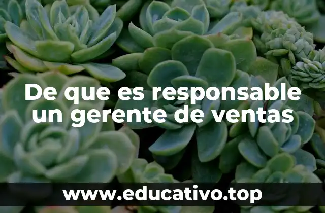 De que es responsable un gerente de ventas