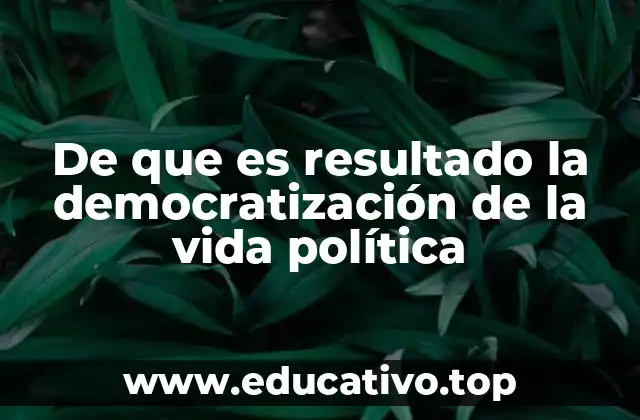 De que es resultado la democratización de la vida política