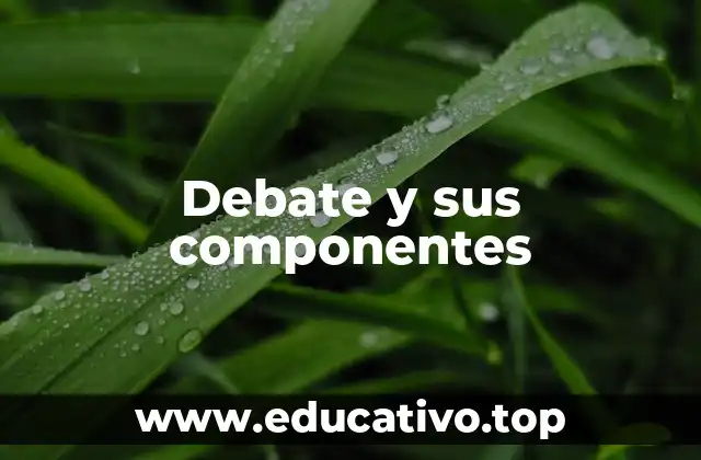 Debate y sus componentes