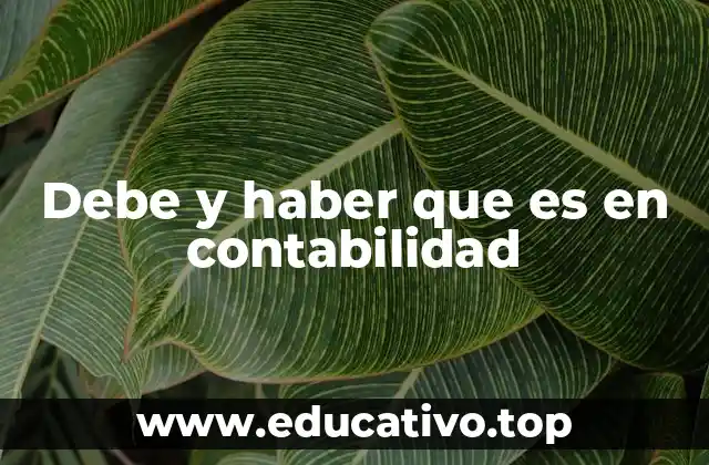 Debe y haber que es en contabilidad