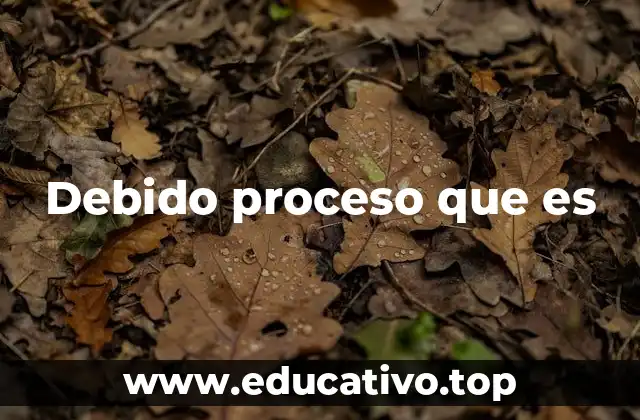 Debido proceso que es