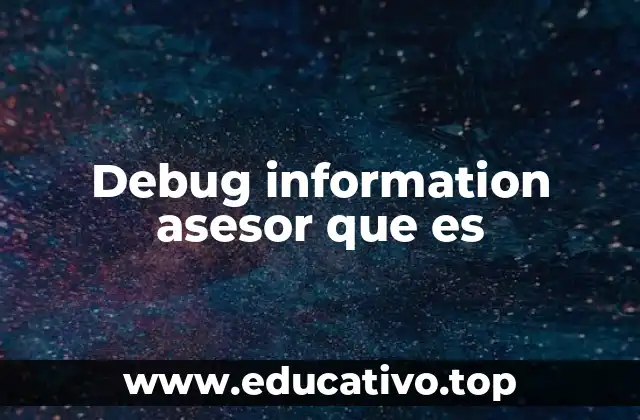 Debug information asesor que es