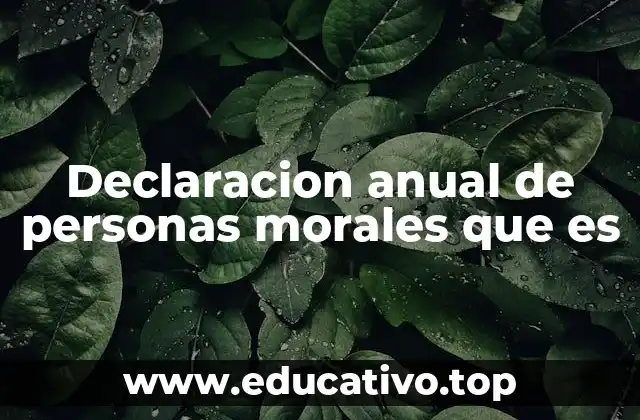 Declaracion anual de personas morales que es