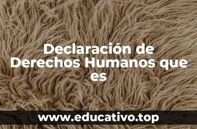 Declaración de Derechos Humanos que es