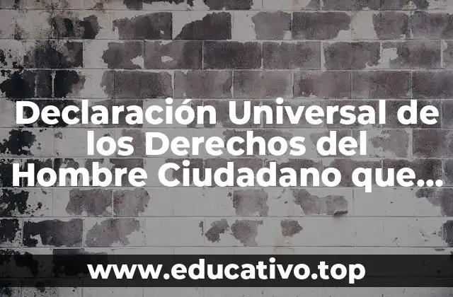 Declaración Universal de los Derechos del Hombre Ciudadano que es