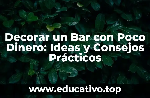 Decorar un Bar con Poco Dinero: Ideas y Consejos Prácticos