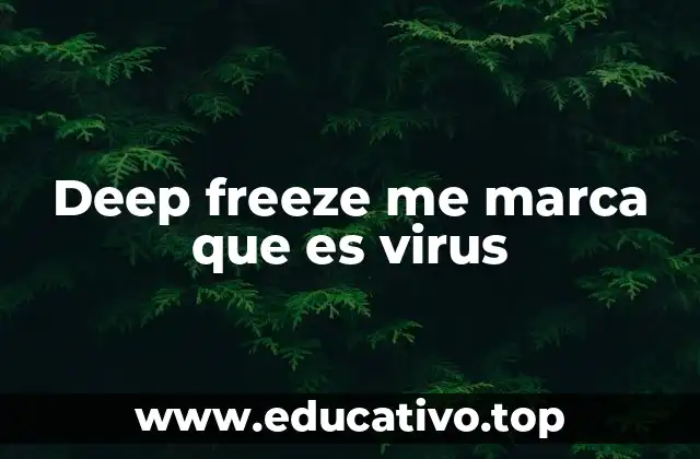 Deep freeze me marca que es virus