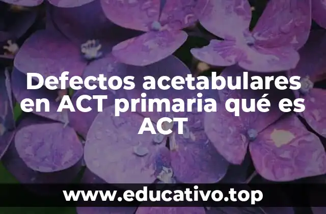 Defectos acetabulares en ACT primaria qué es ACT