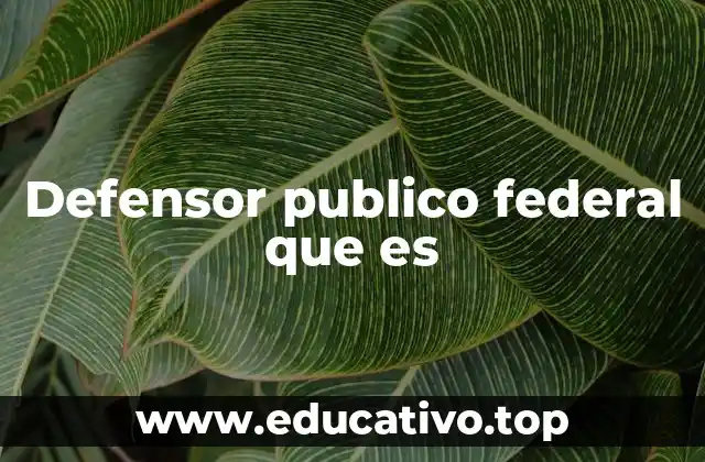 Defensor publico federal que es
