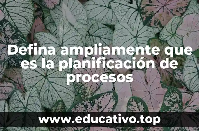 Defina ampliamente que es la planificación de procesos