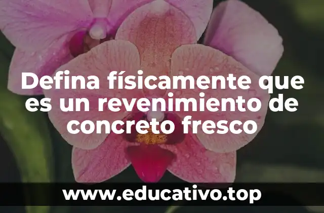 Defina físicamente que es un revenimiento de concreto fresco