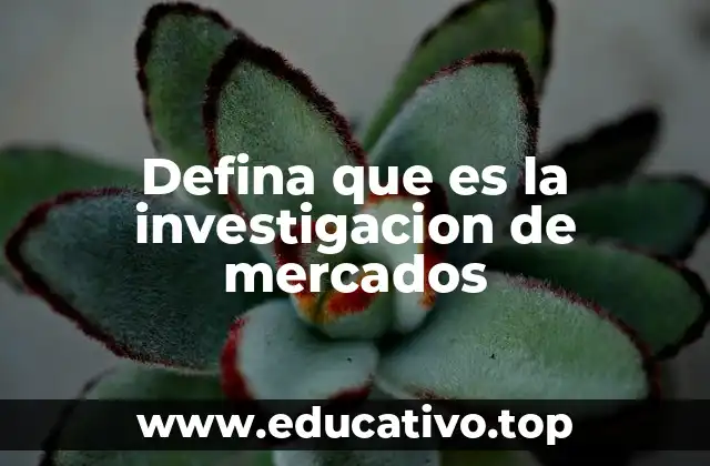 Defina que es la investigacion de mercados