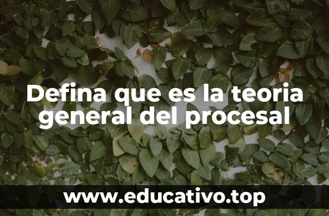 Defina que es la teoria general del procesal