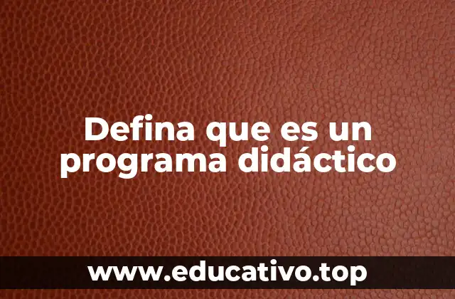 Defina que es un programa didáctico