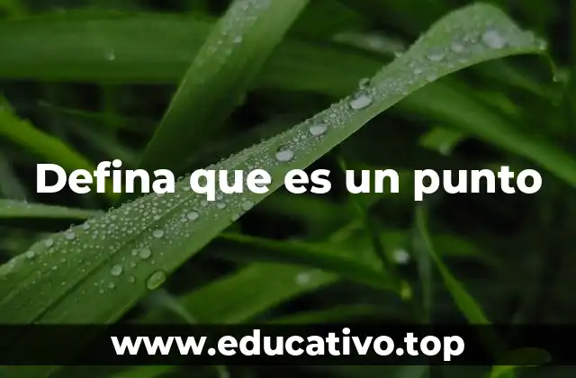 Defina que es un punto
