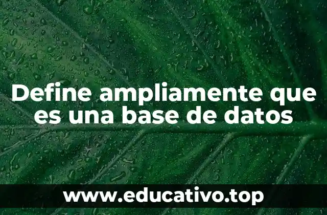 Define ampliamente que es una base de datos