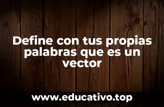 Define con tus propias palabras que es un vector