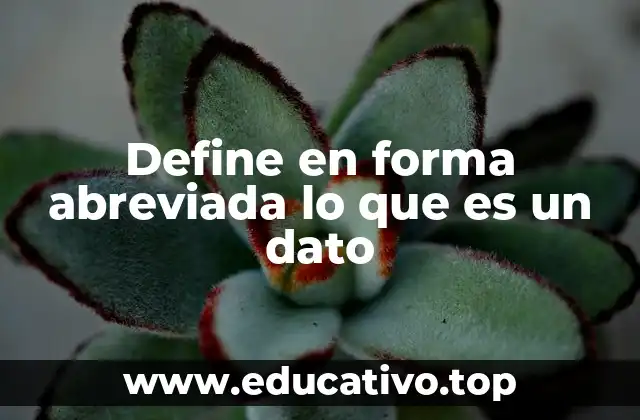 Define en forma abreviada lo que es un dato