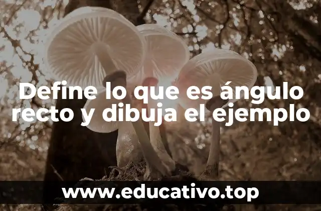 Define lo que es ángulo recto y dibuja el ejemplo