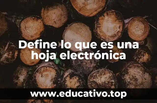 Define lo que es una hoja electrónica