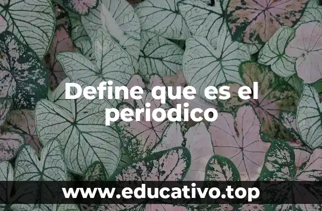 El papel del periódico en la sociedad