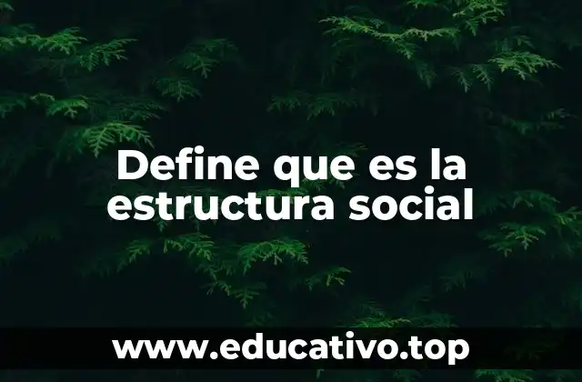 Define que es la estructura social