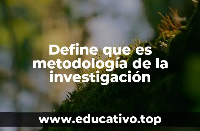 Define que es metodología de la investigación