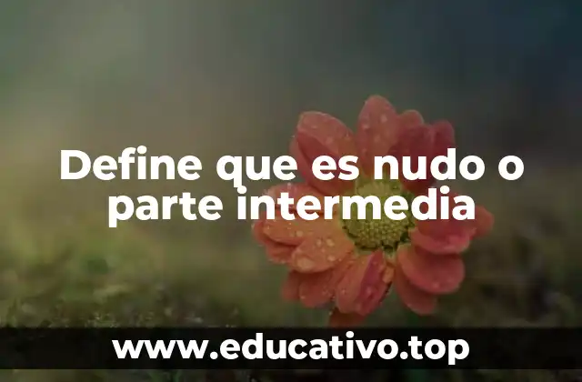 El nudo como punto de unión en diferentes contextos