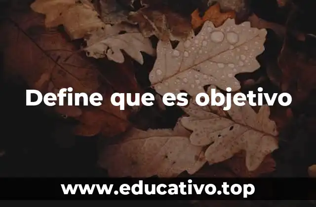 Define que es objetivo