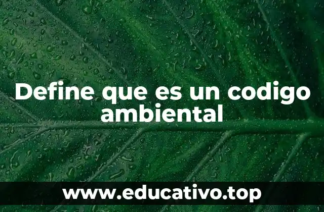Define que es un codigo ambiental