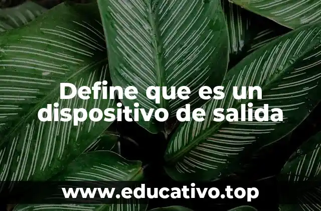 Define que es un dispositivo de salida