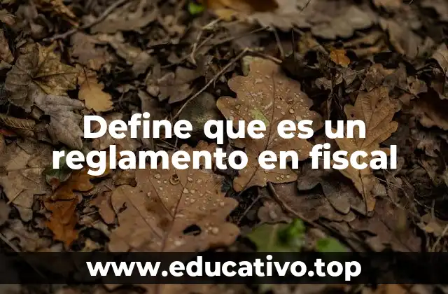 Define que es un reglamento en fiscal