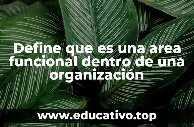 Define que es una area funcional dentro de una organización