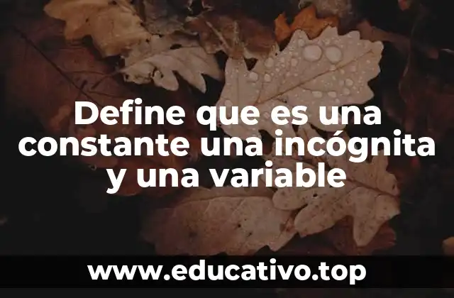Define que es una constante una incógnita y una variable