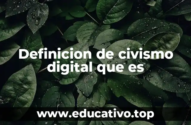 Definicion de civismo digital que es