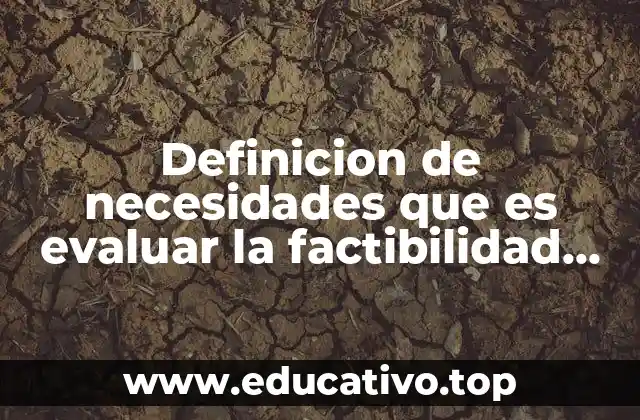 Definicion de necesidades que es evaluar la factibilidad del sistema