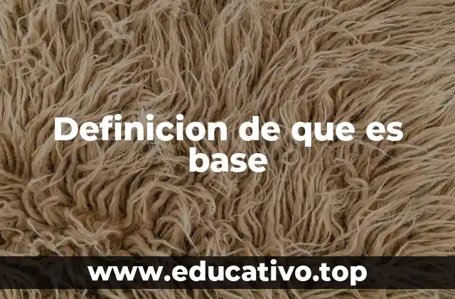 Definicion de que es base