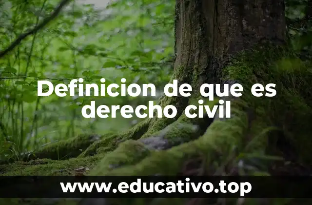 Definicion de que es derecho civil