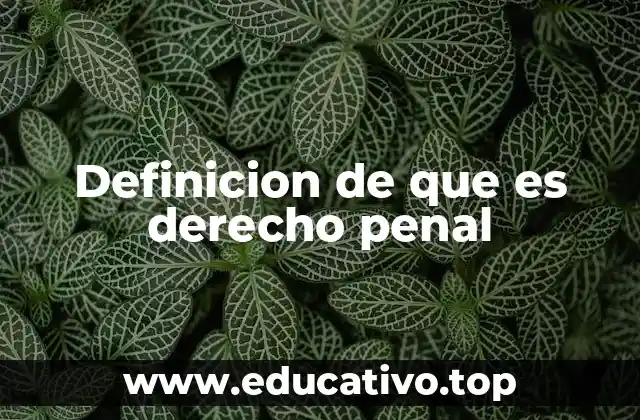 Definicion de que es derecho penal