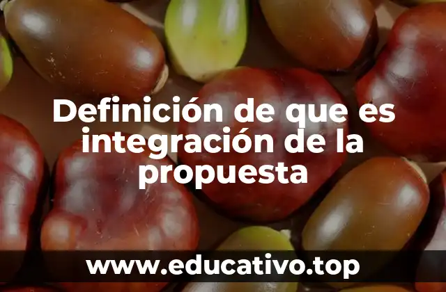 Definición de que es integración de la propuesta