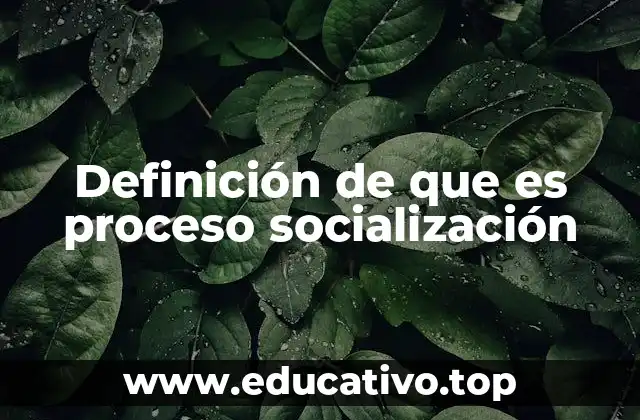 Definición de que es proceso socialización