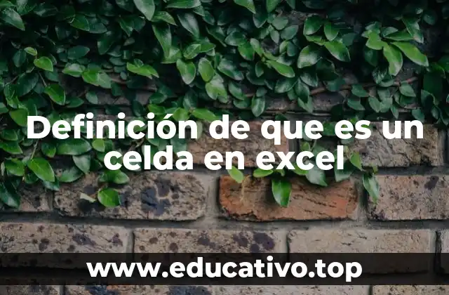 Definición de que es un celda en excel