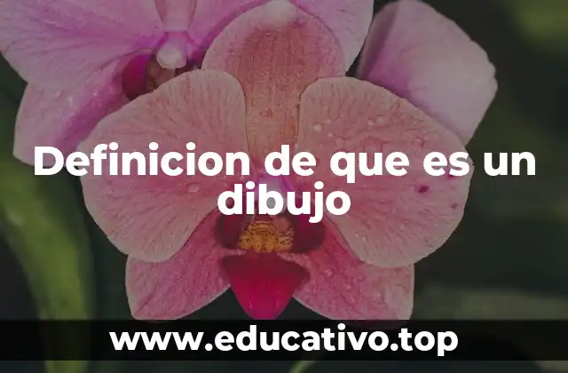 La importancia del dibujo en la educación